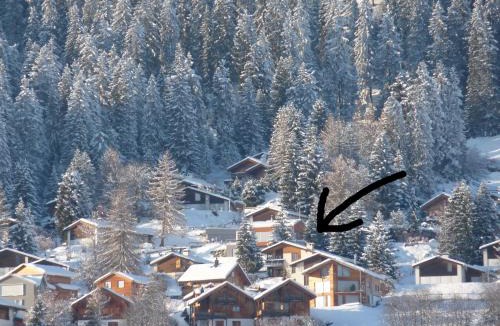 Brigels House | Arnika Montana