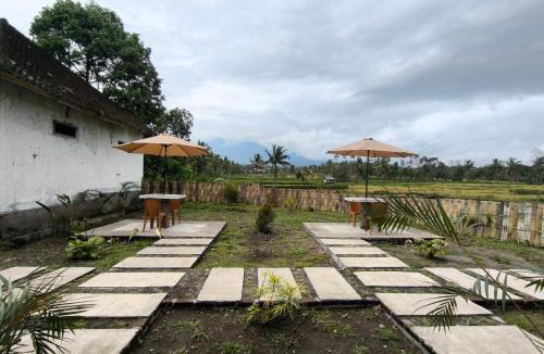 Tetebatu House | Arsya Bungalows Tetebatu