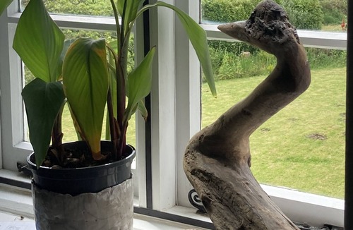 Llanvair Kilgeddin Bed & Breakfast | Art House B&B