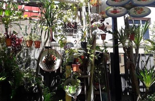 Kampung Tambak Bunga Resort | Art Villa