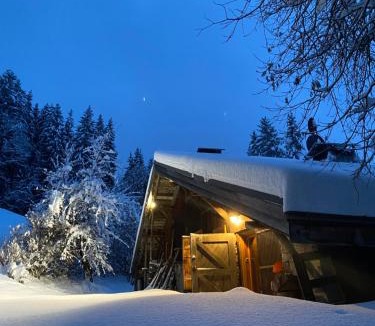 Demi-Quartier Hotel | Arthaus Megève