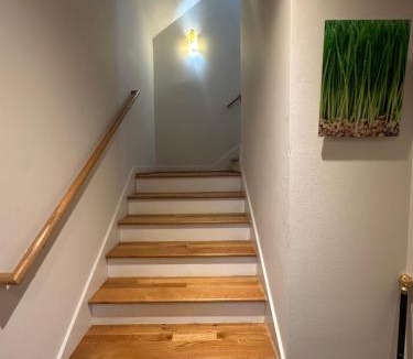Montrose House | Artist retreat in the heart of Houston
