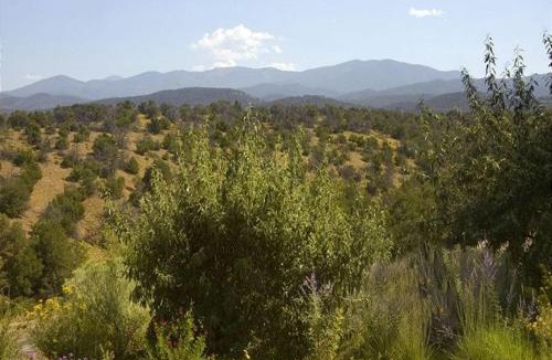 Downtown Santa Fe Apartment | Artist Road #31