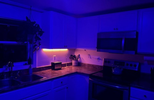 Newport Landing House | Artistic Getaway Near Halifax | King Bed, Spacious Deck & Fire Pit