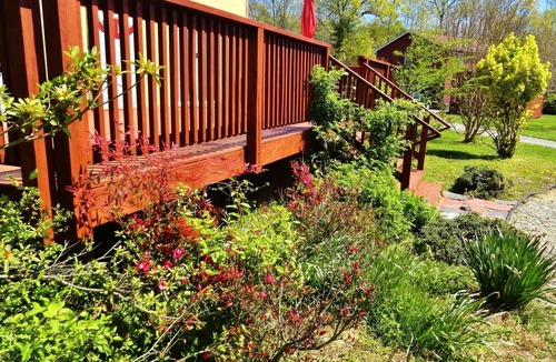 Kilmarnock House | Artistic Environment