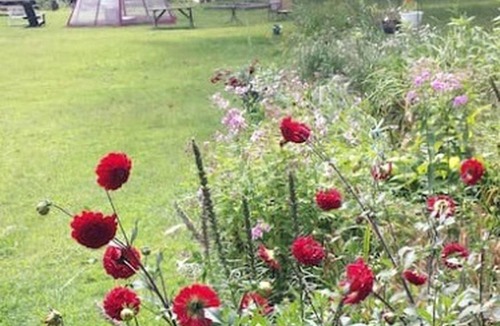 Cummington Cabin | Artistic, Pet-Friendly Getaway in the Foothills of the Berkshire Mountains of Massachusetts