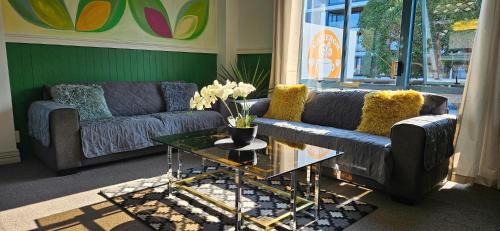 Tauranga Apartment | Arty Apartments