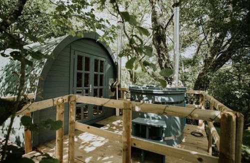 Llanelltyd Apartment | Ash Cabin with Hot Tub