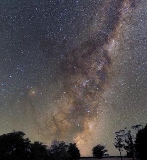 Ongaonga Bed & Breakfast | Ashcott Homestead Bed & Breakfast