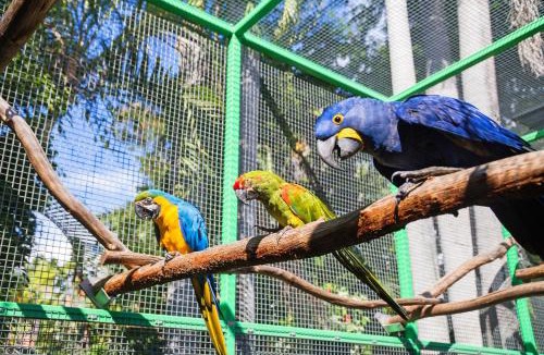 Ashmore Resort | Ashmore Palms Holiday Village