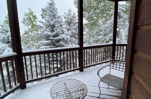 Victor House | Aspen Lakehouse (in Victor, Co)