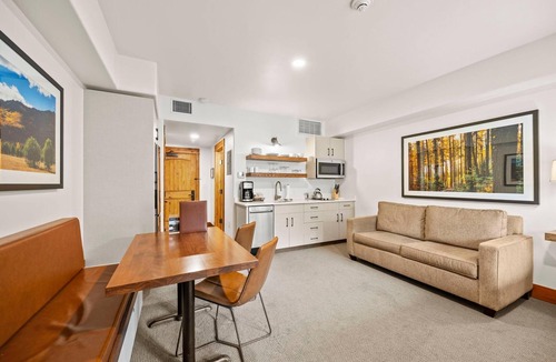 Tamarack Apartment | Aspen Mountain | Includes Two 1-Day Lift Tickets