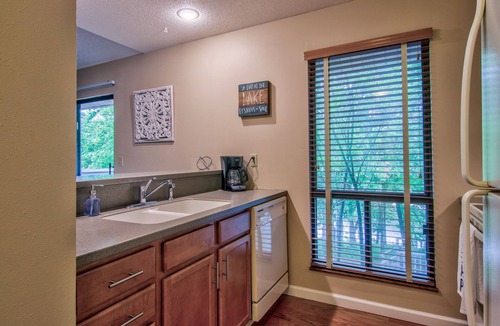Innsbrook Condo | Aspen Sights by Innsbrook Vacations!