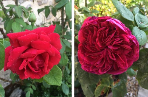 La Villeneuve-au-Chatelot House | ASTRØLABE