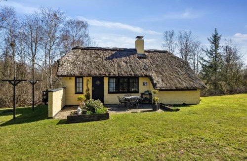 Vester Grønning House | Astrup Vig Hideaway, Thatched Cottage with Shelter & Serenity