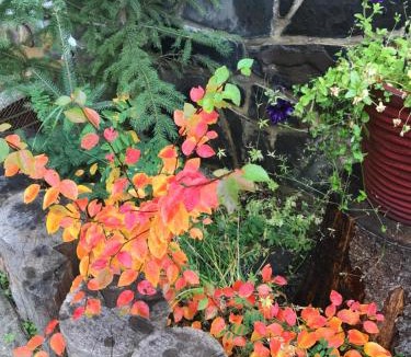 Banff Bed & Breakfast | At Wits End B&B