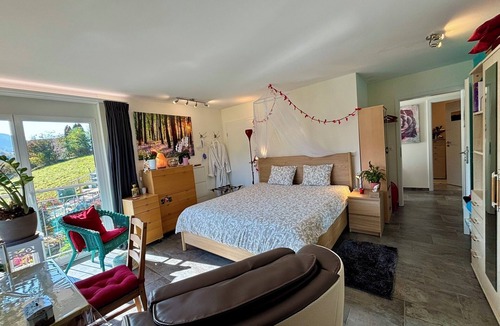 Zullwil Bed & Breakfast | Atelier 1st.fl.doubleroom kingsicebed/showerbath/balcony/mountain & castel view