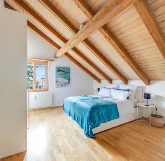 Winterthur Apartment | Atemberaubendes Apartment mit Dachterrasse