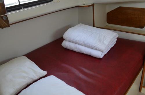 Pontailler-sur-Saone Boat Rental | Athéna - API-1-46-16