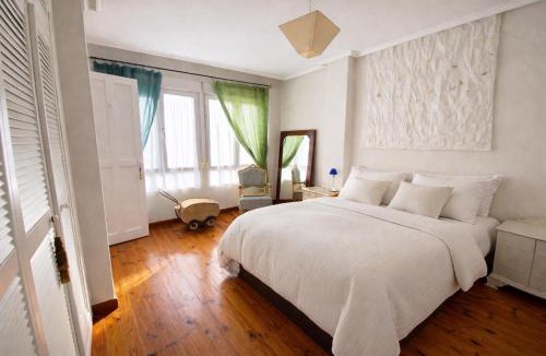 Zaragoza Centro Apartment | Atico lira