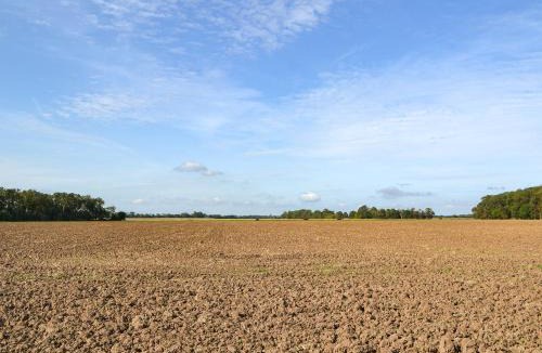 Patrington Haven House | Atmospheric