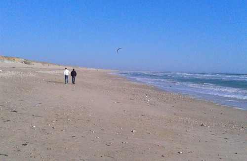 Plouay Apartment | Attached ground floor apartment on Enclosed grounds