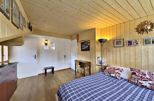 Celerina-Schlarigna Apartment | Attic Chesa Charots - Celerina