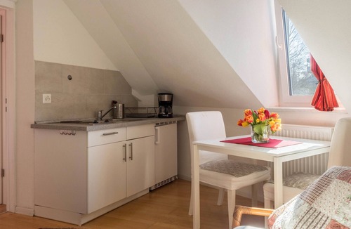 Kreuzlingen Apartment | Attic Room with Kitchenette 'Kletterrose' near the Old Town Center
