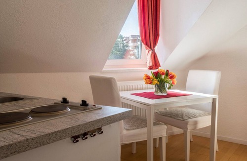 Kreuzlingen Apartment | Attic Room with Kitchenette 'Kletterrose' near the Old Town Center