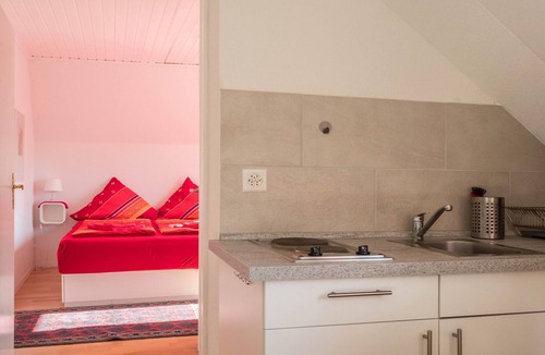 Kreuzlingen Apartment | Attic Room with Kitchenette 'Kletterrose' near the Old Town Center