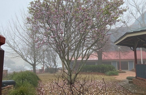 Columbus House | Attract travellers with an engaging headline