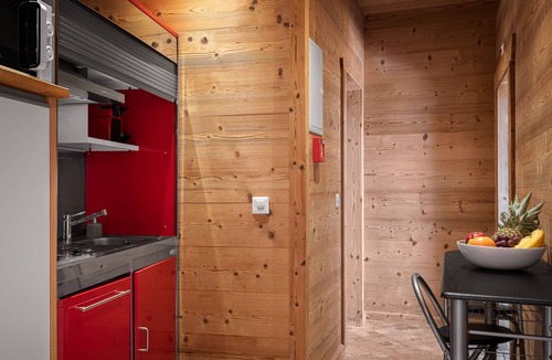 Leysin Apartment | Attractive, fully-equipped 20 m2 studio with balcony and mountain views