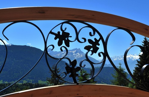 Leysin Apartment | Attractive, fully-equipped 20 m2 studio with balcony and mountain views