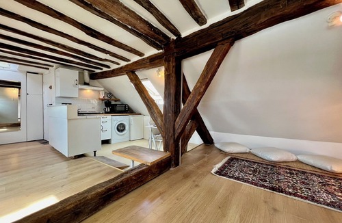 Enfants-Rouges Apartment | ATYPICAL AND CHARMING MARSH LOFT STUDIO FOR 2 PEOPLE