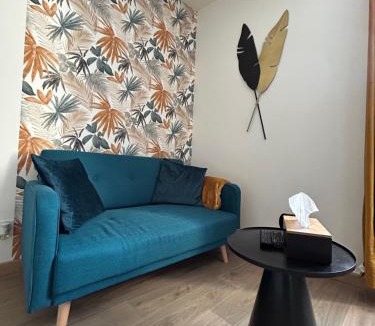 Saint-Amand-Montrond Apartment | Au 15 Bis - Studio Hyper Centre