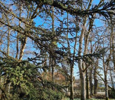 Blois House | Au B'Honneur de Blois