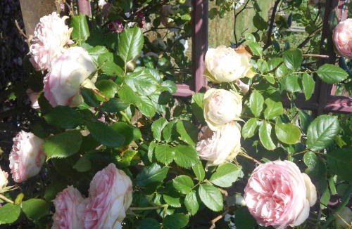 Huby-Saint-Leu Bed & Breakfast | Au Bois Dormant