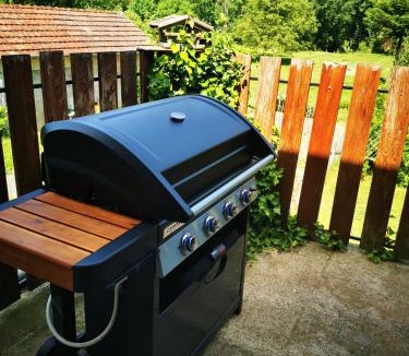 Nevy-sur-Seille House | Au bord de Seille