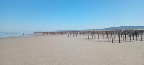 Camiers Apartment | Au bord des Dunes