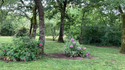 Berthez Bed & Breakfast | Au Bras d'Argent