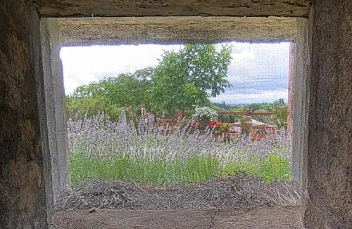 Rott House | Au Bunker 67