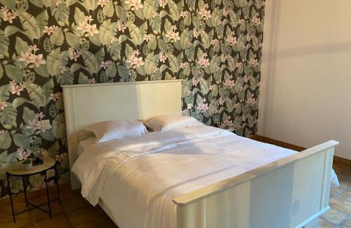 Carnoy House | Au cèdre bleu