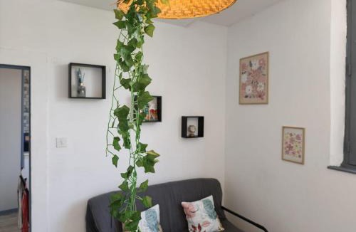 Besancon Old Town Apartment | Au cœur de la Boucle