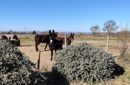Coursan Apartment | Au cœur de la Nature