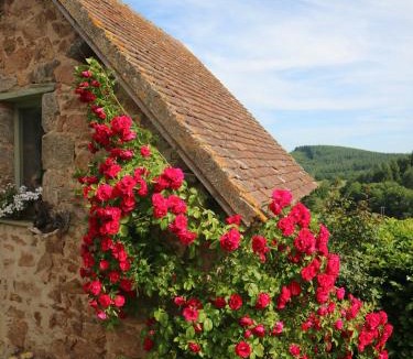 Montmort Bed & Breakfast | Au cœur des prés