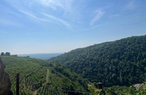 Malleval House | Au Cœur des Vignes