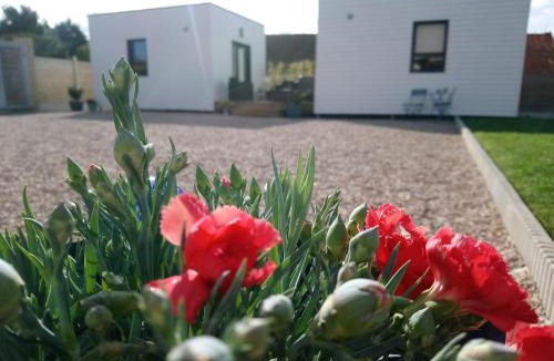 Saint-Quentin-en-Tourmont Bed & Breakfast | Au Cap Norwoe