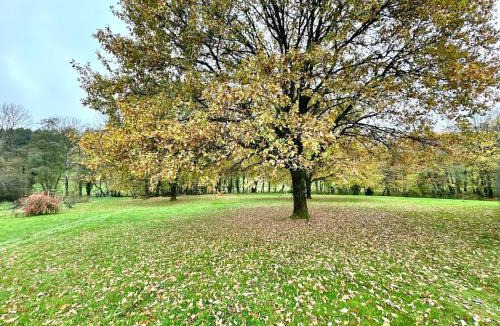 Chagny Ski Chalet | Au Chalet d'Aurélie