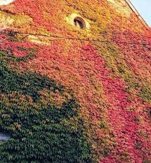 Ay Bed & Breakfast | AU CHAMBELLAN