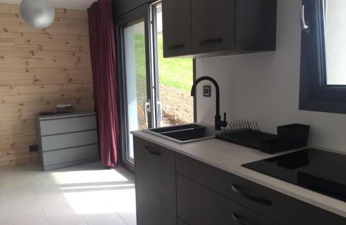 Bas-Intyamon Apartment | Au Chant des Grillons - studio ensoleillé en Gruyère